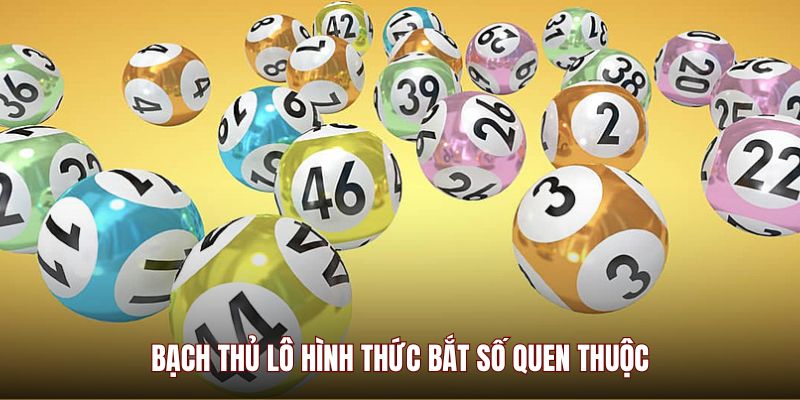 Bạch Thủ Lô MMWIN